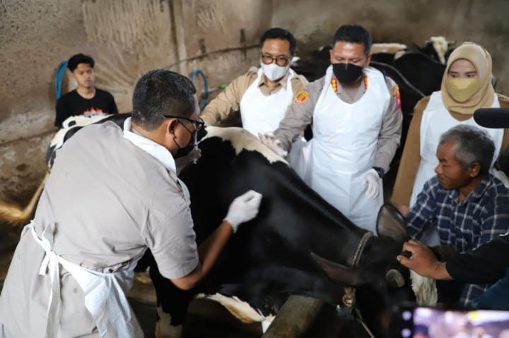 Kementan Minta Anggaran Rp4,6 Triliun untuk Penanganan PMK