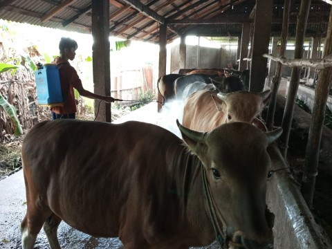 Pemkot Bandung Kerahkan 115 petugas Awasi Penjualan Hewan Kurban