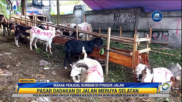 Marak penjual kurban di pinggir jalan. Foto: Dok/Metro TV