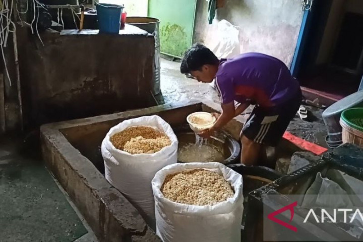 Harga Kedelai Masih Tinggi, Perajin Tempe Menjerit