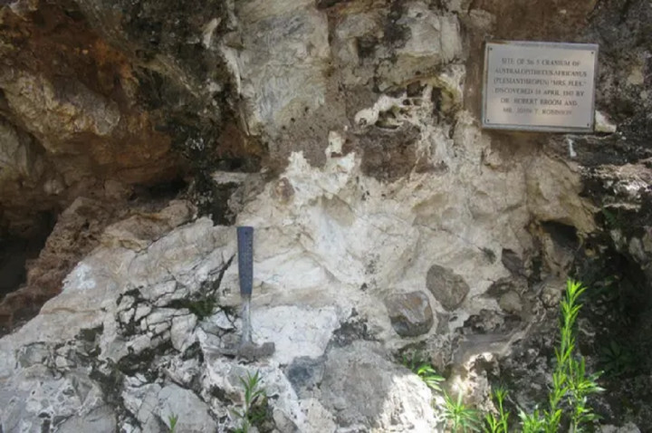 Nenek Moyang Manusia Ternyata 1 Juta Tahun Lebih Tua dari Perkiraan