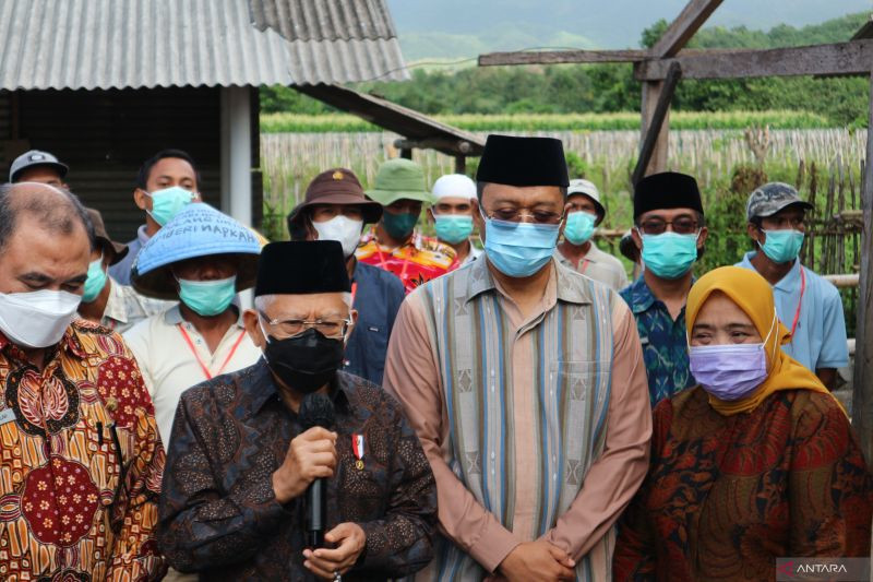 Wakil Presiden (Wapres) Ma'ruf Amin. Branda Antara