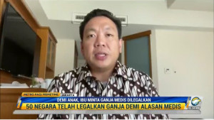 Wakil Ketua Komisi IX DPR Dorong Pemerintah Legalisasi Ganja Medis
