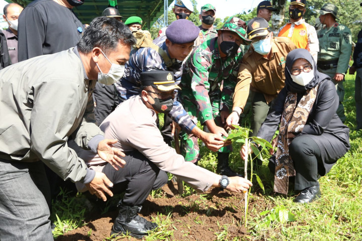 Antisipasi Bencana, 7.600 Pohon Ditanam di Jalur Wisata Kawah Ijen Banyuwangi