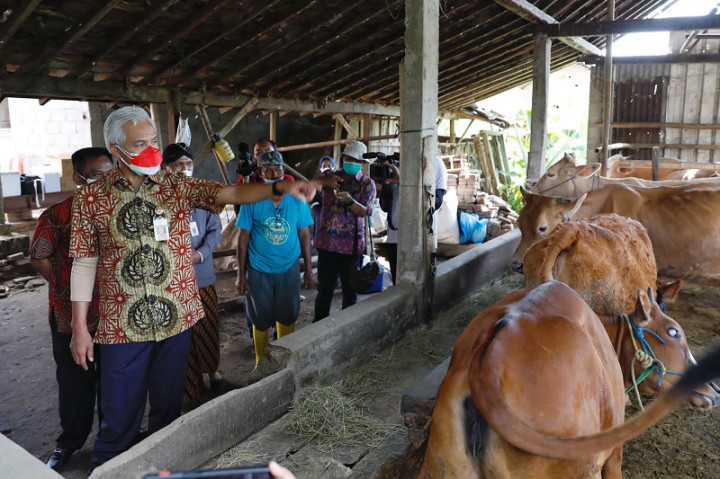 Program <i>Jogo</i> Ternak dan <i>Bolo</i> Ternak Tangani PMK di Jateng