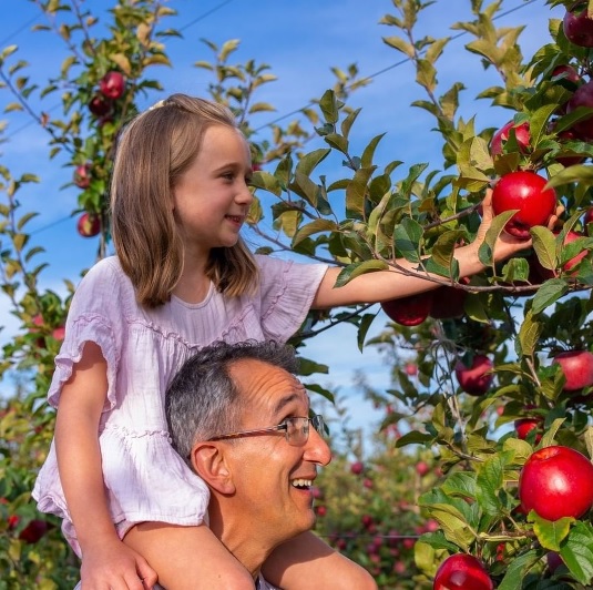 Apel dari Selandia Baru Punya Ciri Khas Berbeda, Apa Saja ya?