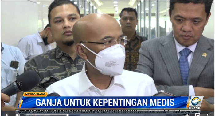 Harapan Baru Penggunaan Ganja untuk Medis Melalui Perubahan UU Narkotika