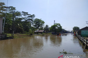 4.550 Rumah di Bengkulu Terendam Banjir