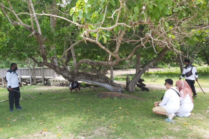 Bupati Manggarai Barat Dukung Kenaikan Harga Tiket ke Pulau Komodo