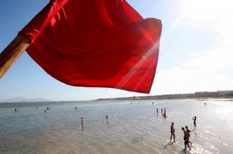 Mesir Tutup Pantai Wisata usai Serangan Hiu Tewaskan 2 Turis