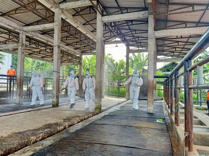 Jelang Iduladha, Tempat Jual Hewan Ternak di Batu Disemprot Disinfektan