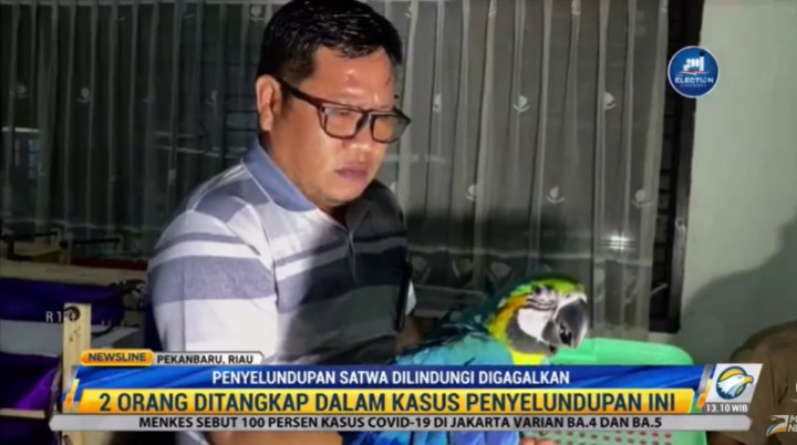 BKSDA Riau Gagalkan Penyelundupan 505 Satwa