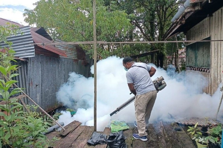 Kabupaten Asmat KLB DBD