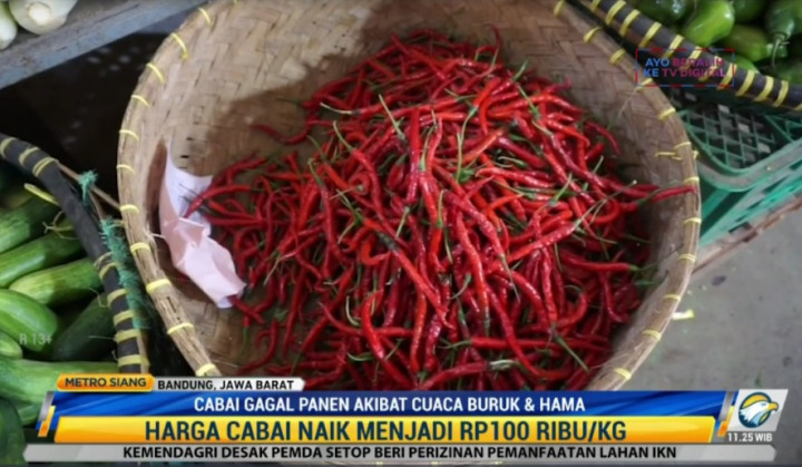 Harga Cabai Makin Pedas Jelang Iduladha, Tembus Rp100 Ribu/Kg