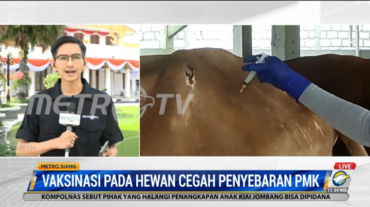 Pemprov Jatim Gencarkan Vaksinasi PMK