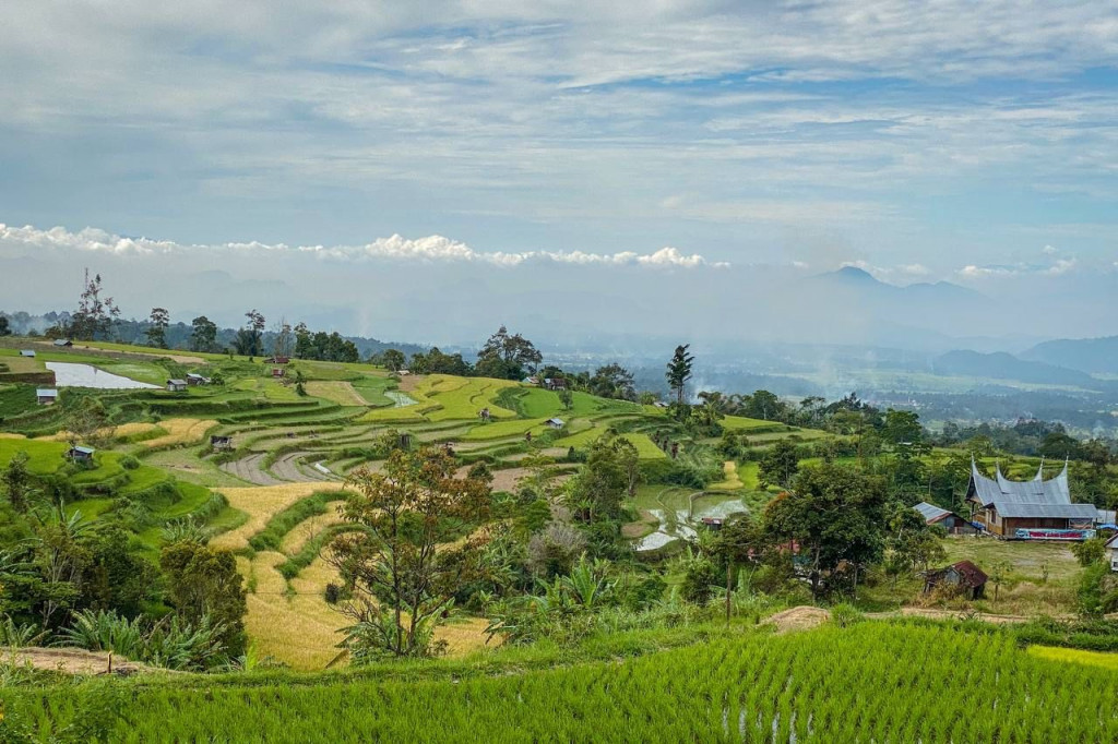 Hamparan Hijau yang ditampilkan Desa Wisata Nagari Pariangan (Foto:  Kemenparekraf)