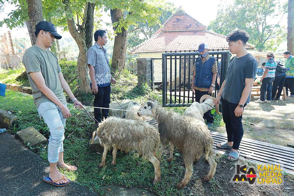 Hewan kurbang dari Unpad untuk masyarakat di sekitar kampus. Foto: Dok. Unpad