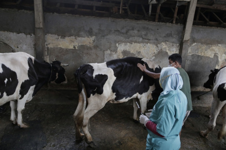 Dinas Lingkungan Hidup DKI Jakarta Warga Terapkan <i>Ecoqurban</i>