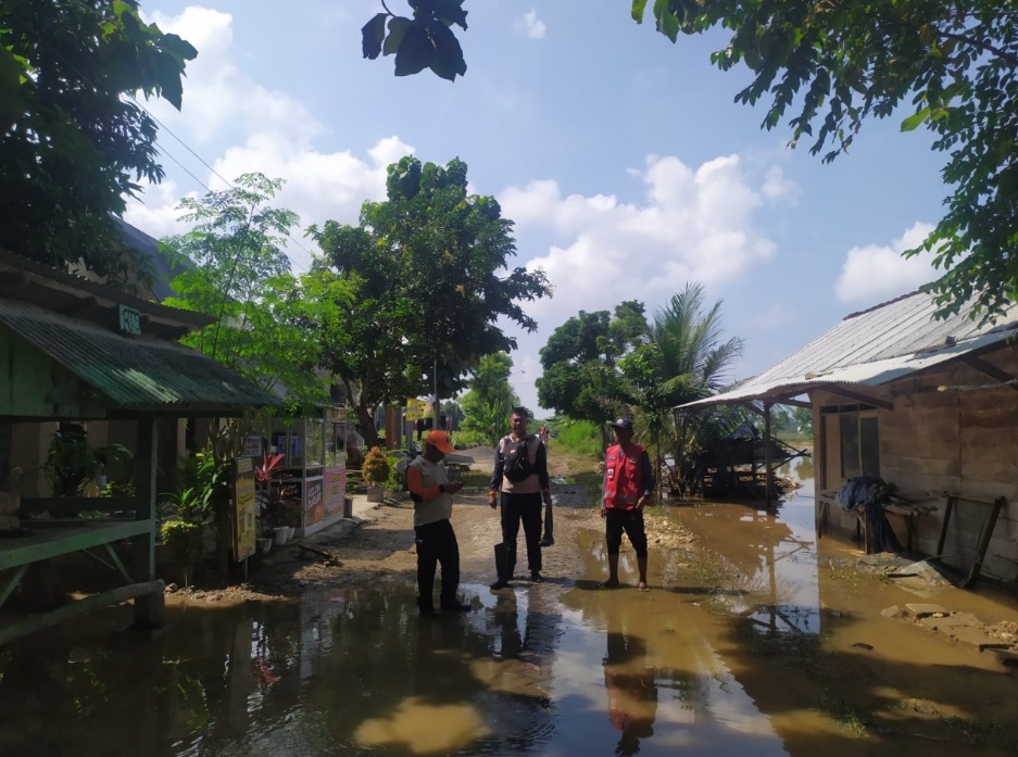 Wilayah terdampak banjir bandang di Kabupaten Gresik. BNPB
