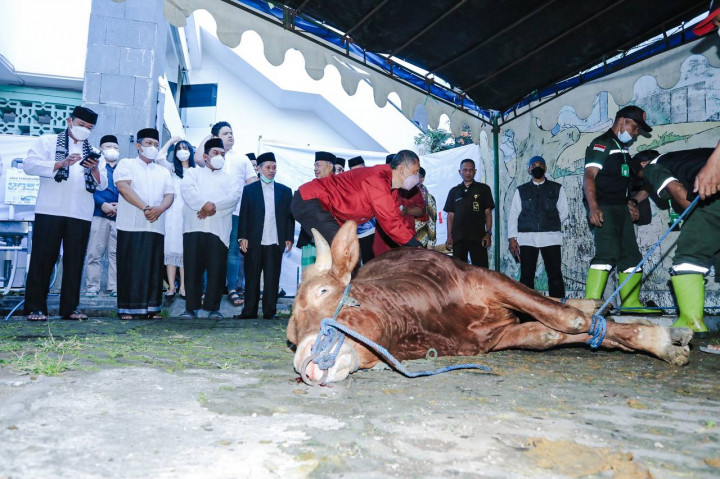 Pemkot Bandung Kurban 45 Sapi dan 100 Domba