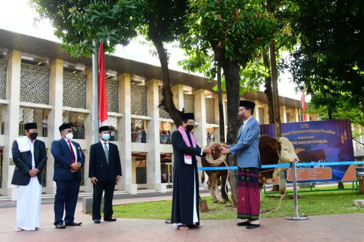 Sapi Kurban Jokowi Disebar ke 34 Provinsi