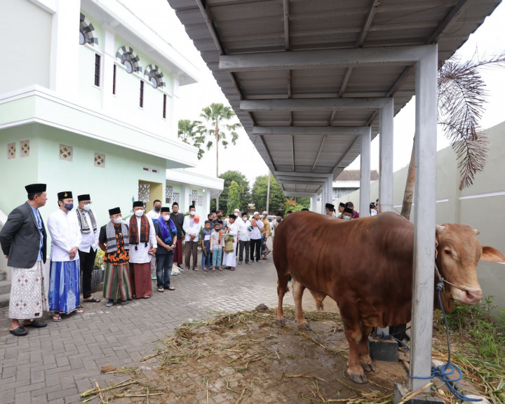 Ibas: Iduladha Momen Peduli dan Berbagi pada Semua