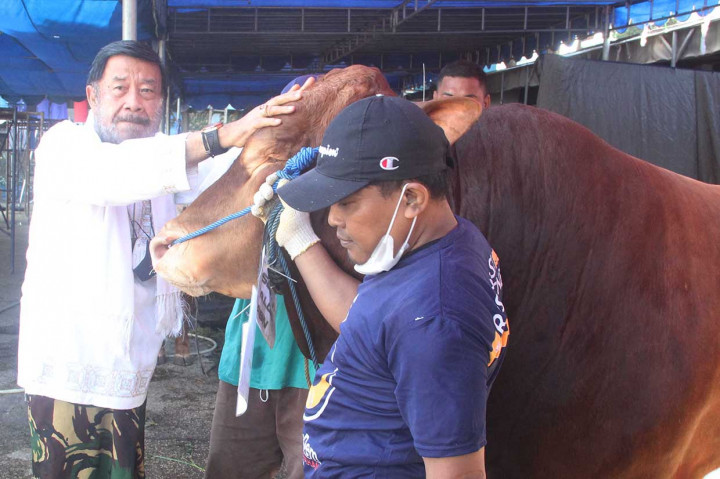 Partai NasDem Sembelih 55 Hewan Kurban