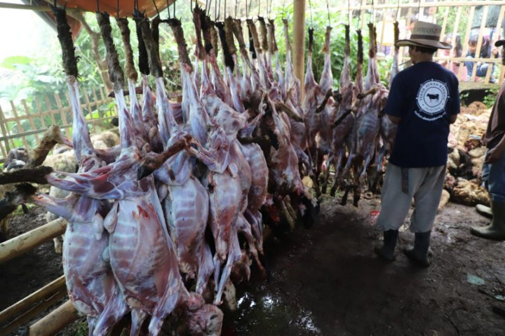 Warga Satu Kampung di Garut Berkurban 800 Domba Warga Satu Kampung di Garut Berkurban 800 Domba