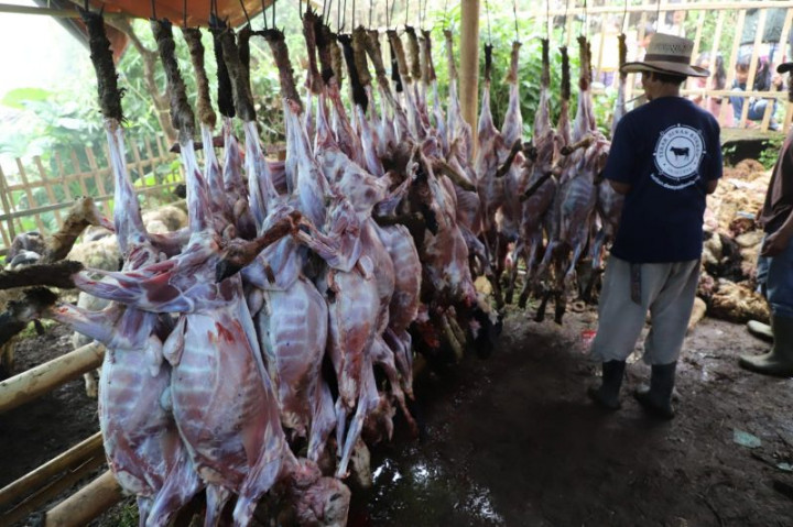 Warga Satu Kampung di Garut Berkurban 800 Domba