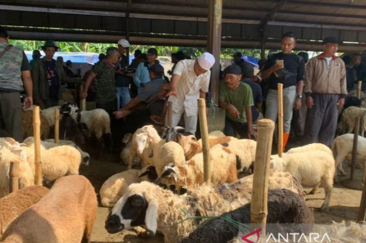 Stok Vaksin PMK di Jepara Tinggal 300 Dosis