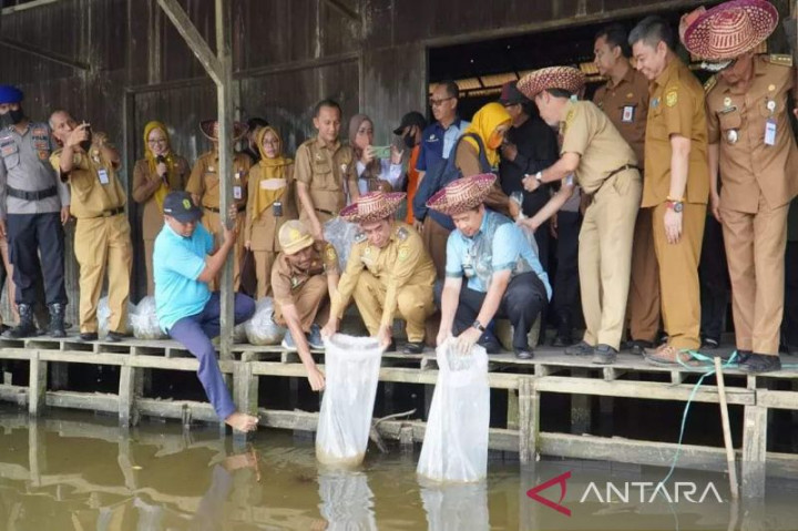 Lahan Tersisa di Banjarmasin Disulap Jadi Tempat Budi Daya Ikan dan Kelapa