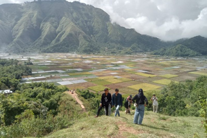 Suhu Dingin Kawasan Sembalun Lereng Gunung Rinjani Capai 12 Derajat