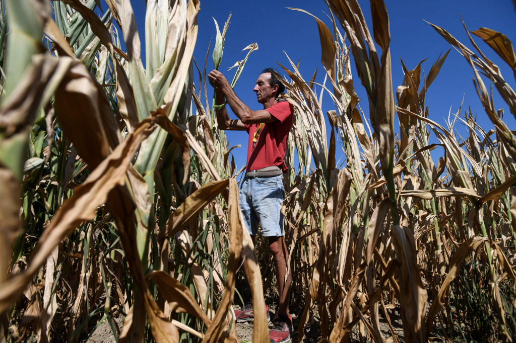 Italia Dilanda Kekeringan Terparah dalam 7 Dekade