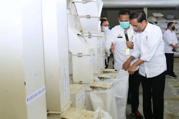Pastikan Ketersediaan Pangan, Jokowi Tinjau BBPadi di Subang