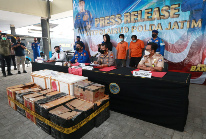 Penyelundupan 48 Ribu Benih Lobster dari Jatim Tujuan Digagalkan