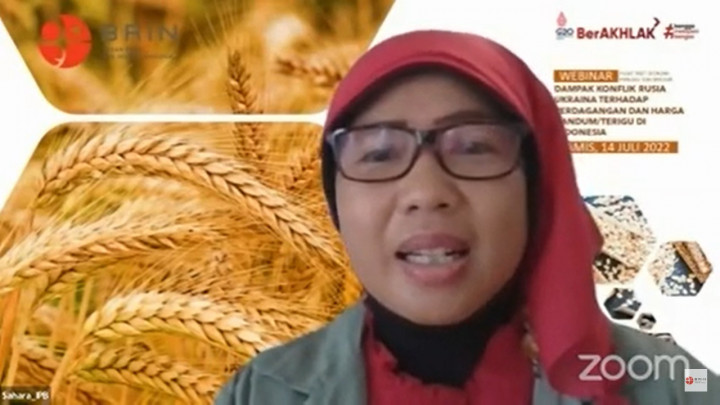 Pakar IPB Paparkan Dampak Kenaikan Harga Gandum di Indonesia Akibat Perang Rusia-Ukraina