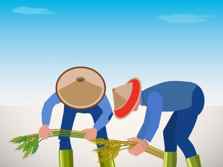 Govt Releases Regulations on Subsidized Fertilizers for Indonesian Farmers