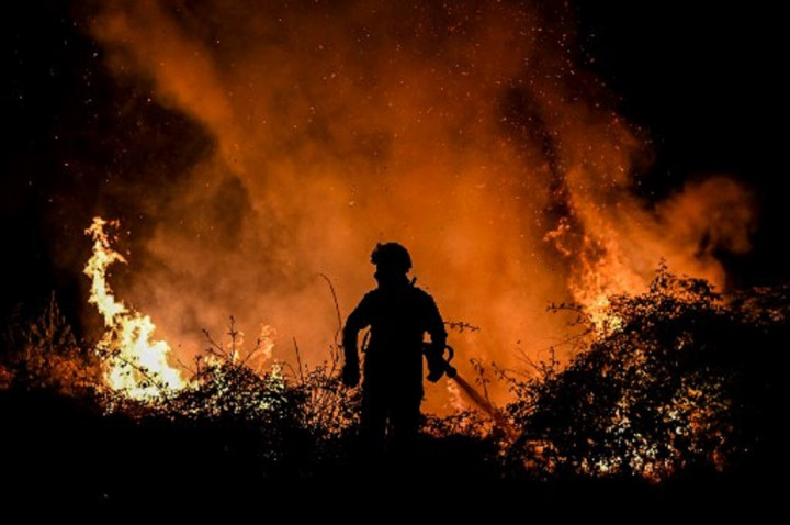 Gelombang Panas Eropa: Kebakaran Hutan Menyebar di Mediterania Gelombang Panas Eropa: Kebakaran Hutan Menyebar di Mediterania
