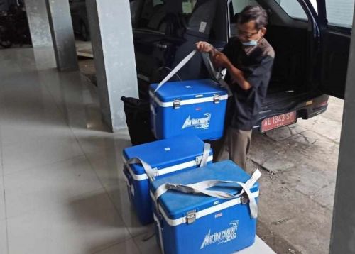 Vaksinasi PMK Tahap I di Jatim Capai 92%