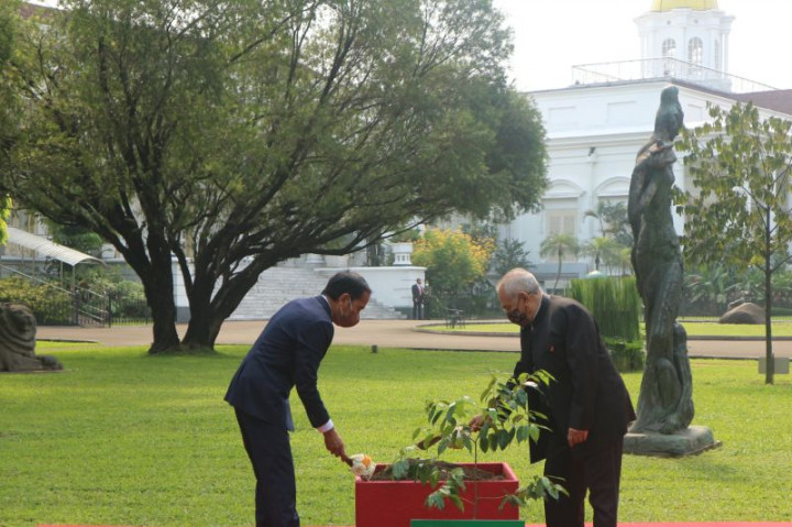 Jokowi dan Jose Ramos-Horta Tanam Pohon Gaharu di Istana Bogor