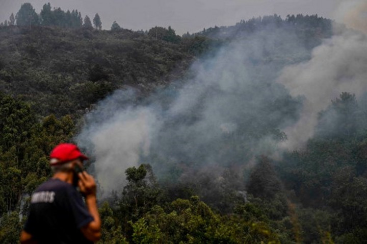 Kebakaran Hutan Portugal: Pasangan Lansia Ditemukan Tewas di Mobil yang Terbakar