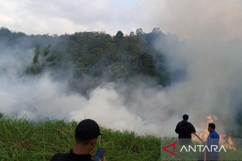 Petugas melakukan pemadaman api saat kebakaran lahan di Gampong Negeri Antara, Kecamatan Pintu Rime Gayo, Kabupaten Bener Meriah, Senin, 18 Juli 2022. ANTARA/HO-BPBD Bener Meriah