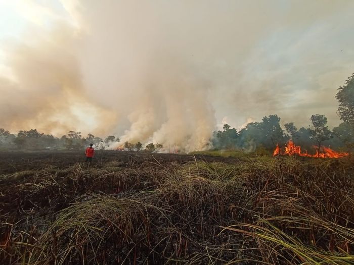 Titik Panas di Bangka Belitung Terus Bertambah