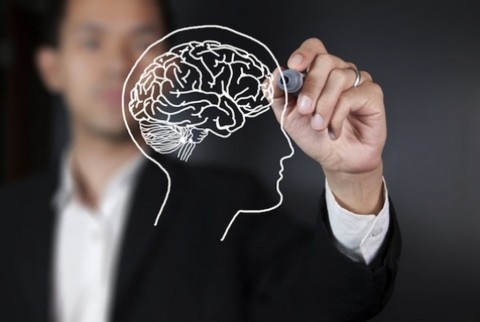 Kenali Brain Friendly Learning, 7 Hal Ini Dapat Memengaruhi Kinerja Otak dalam Pembelajaran