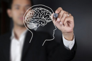 Kenali <i>Brain Friendly Learning</i>, 7 Hal Ini Dapat Memengaruhi Kinerja Otak dalam Pembelajaran
