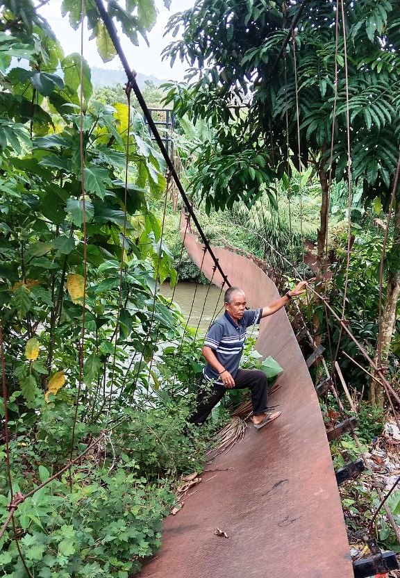 Demi Cari Nafkah, Warga Pasenan Sumatera Selatan Nekat Lewati Jembatan Rusak