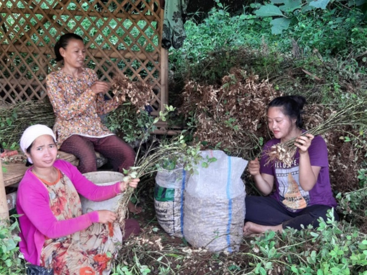 Ini Saran Ahli Agar Perhutanan Sosial Tepat Sasaran