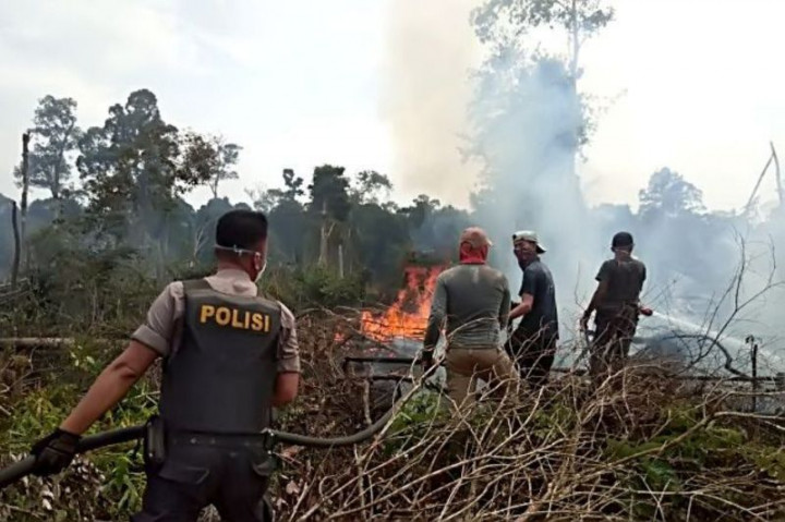 9 Pelaku Karhutla di Riau Ditangkap