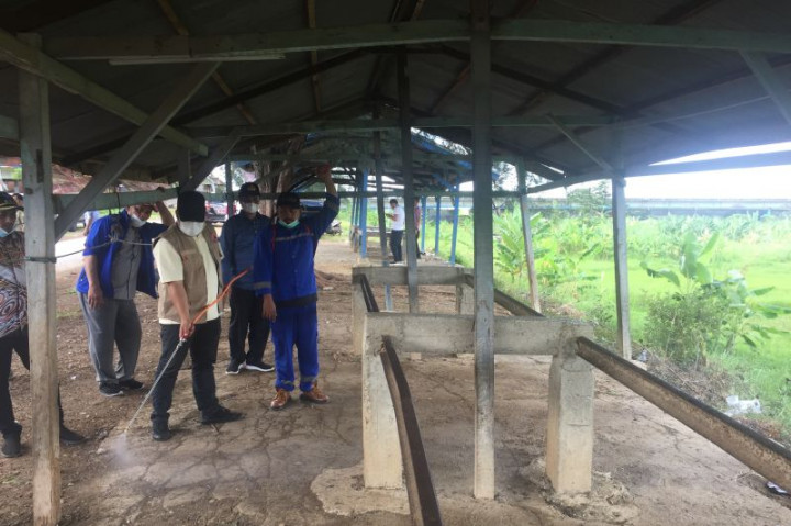 Aceh Besar Fokus Turunkan Kasus PMK dalam Sepekan