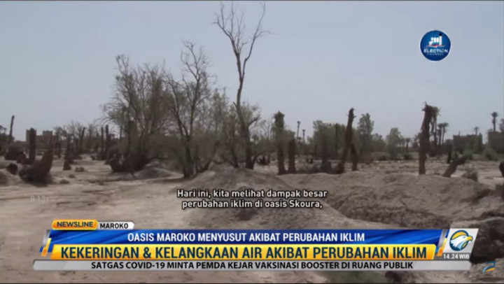 Oasis di Maroko Menyusut Akibat Perubahan Iklim